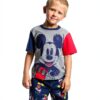 Disney Mickey Mouse Boys Short Set Graphic Tee Shorts-1